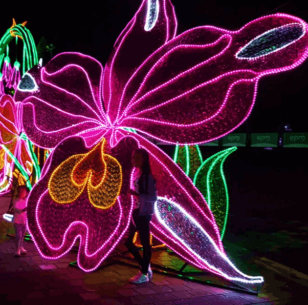 Tour de alumbrados con constelaciones en manrique flores desfile de silleteros