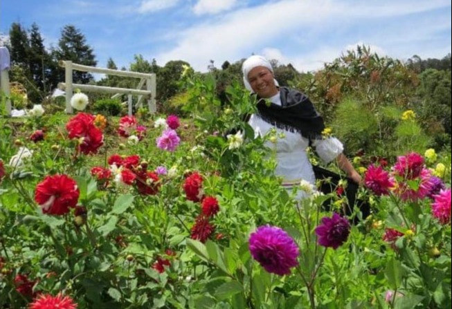 Tour de las flores